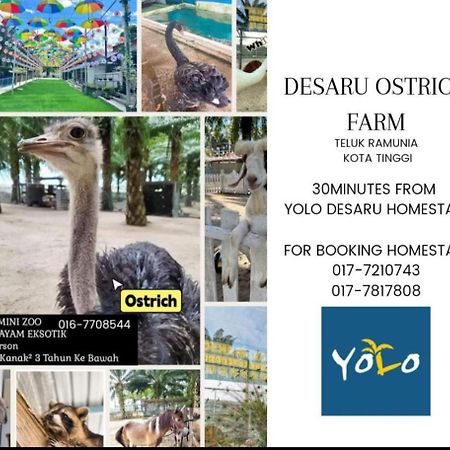 Desaru Homestay-Eva Villa Pool Homestay By Yolo Resort Bandar Penawar Luaran gambar